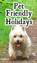 Pet Friendly Holidays